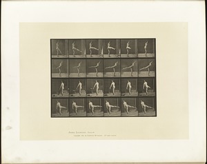 Animal locomotion. Plate 370