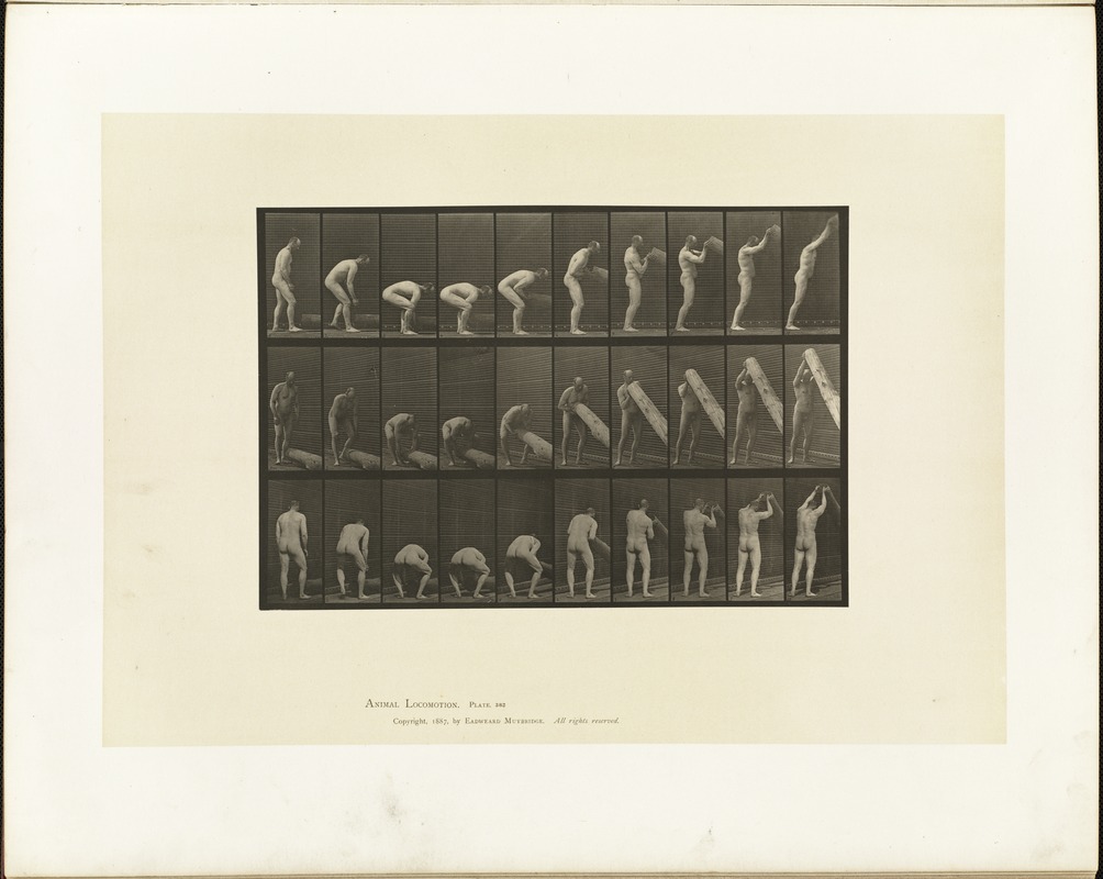 Animal locomotion. Plate 382