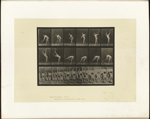 Animal locomotion. Plate 385
