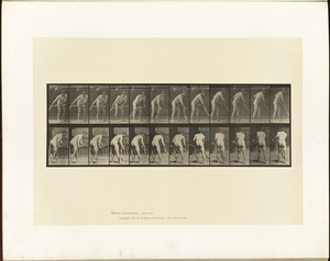 Animal locomotion. Plate 390