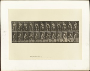 Animal locomotion. Plate 391