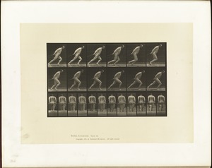 Animal locomotion. Plate 392