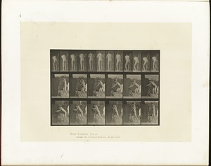 Animal locomotion. Plate 394