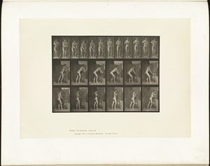 Animal locomotion. Plate 395