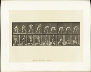 Animal locomotion. Plate 396