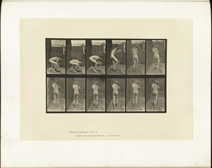 Animal locomotion. Plate 397