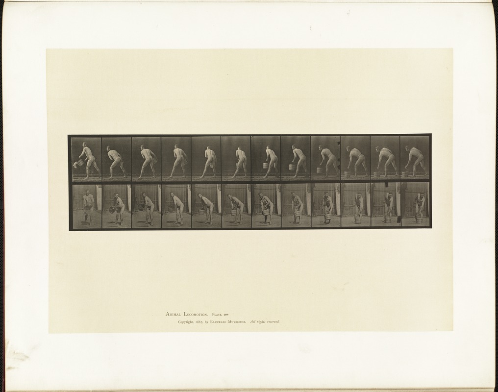 Animal locomotion. Plate 398