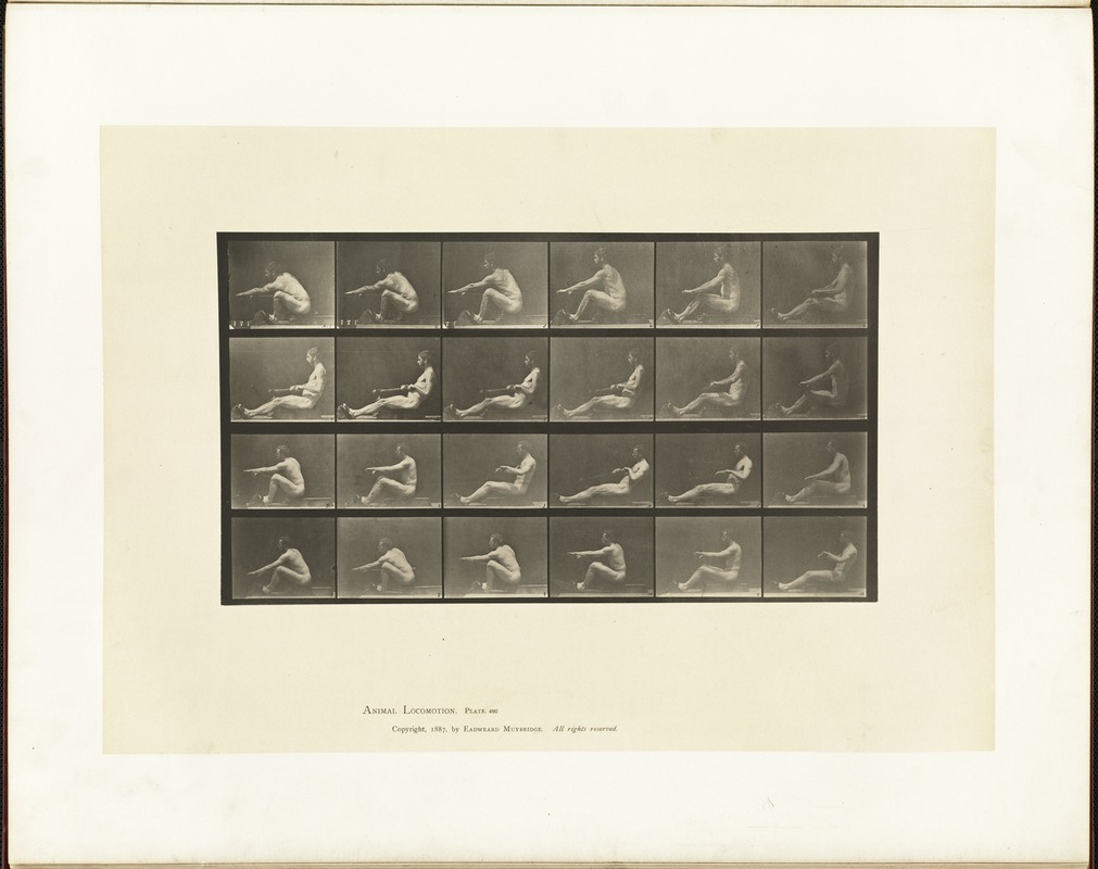 Animal locomotion. Plate 492