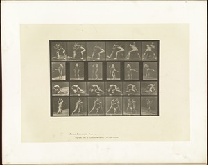 Animal locomotion. Plate 520