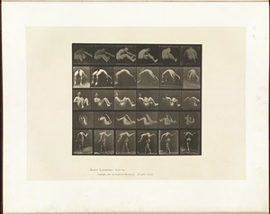 Animal locomotion. Plate 522