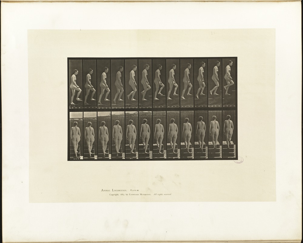 Animal locomotion. Plate 92