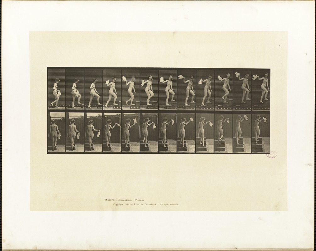 Animal locomotion. Plate 96