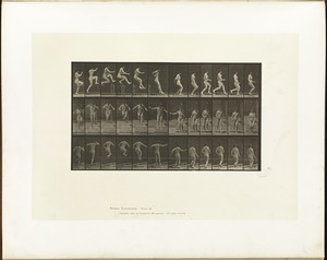 Animal locomotion. Plate 155