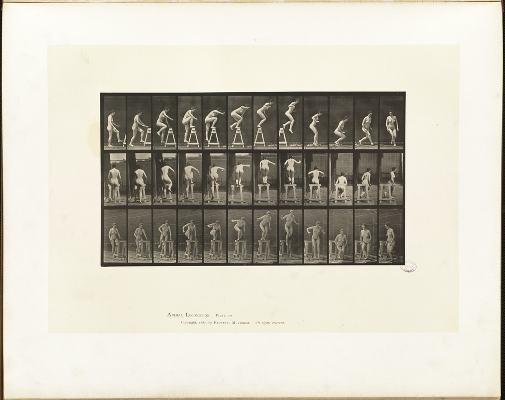 Animal locomotion. Plate 171