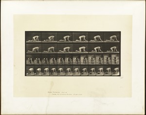 Animal locomotion. Plate 182