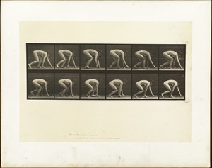 Animal locomotion. Plate 183