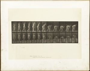 Animal locomotion. Plate 204