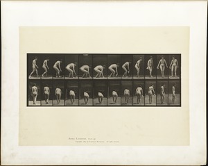 Animal locomotion. Plate 220