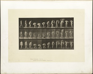 Animal locomotion. Plate 227