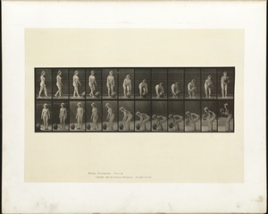 Animal locomotion. Plate 228