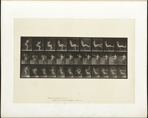 Animal locomotion. Plate 247