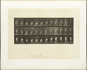 Animal locomotion. Plate 251