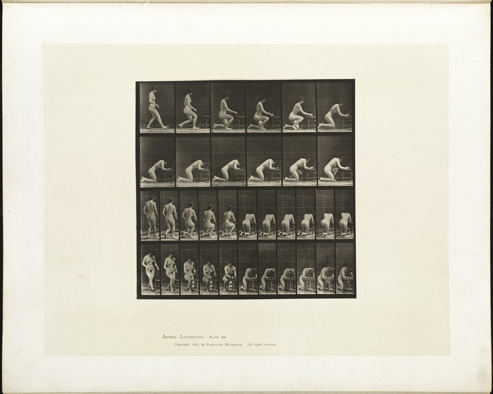 Animal locomotion. Plate 254