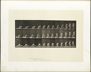 Animal locomotion. Plate 255