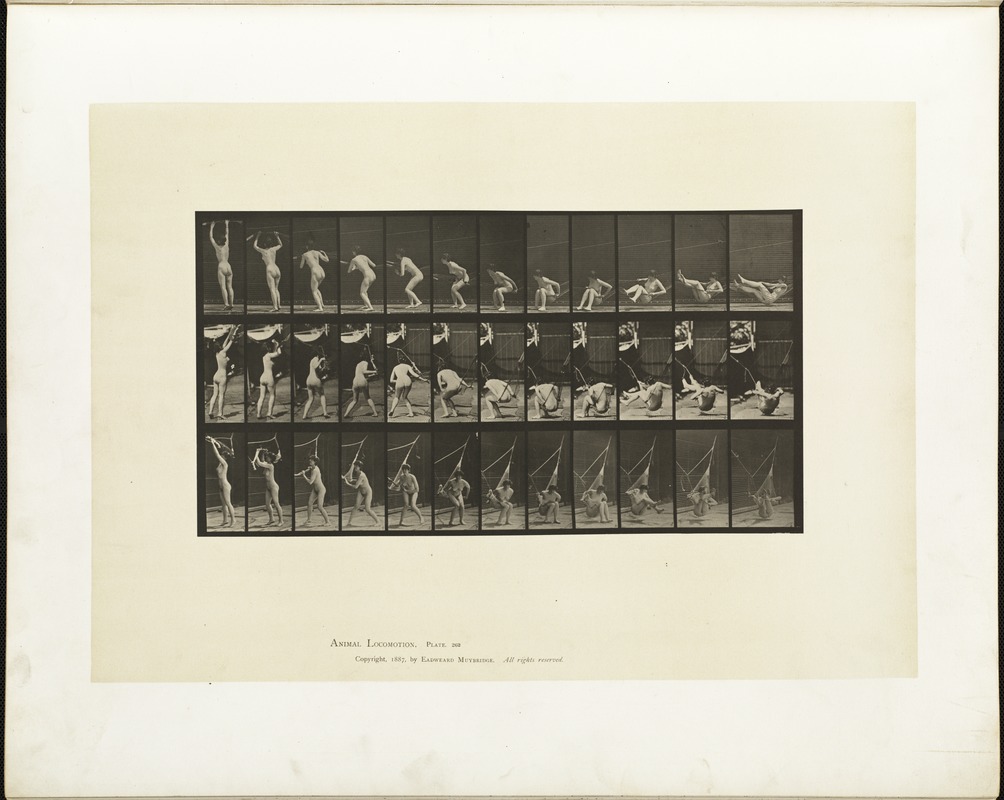 Animal locomotion. Plate 262