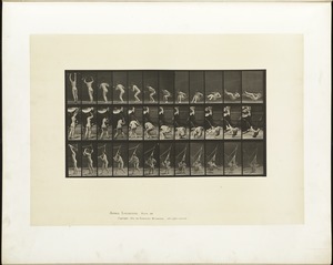 Animal locomotion. Plate 262