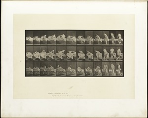 Animal locomotion. Plate 264
