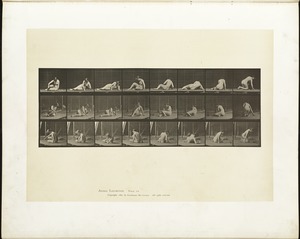 Animal locomotion. Plate 266