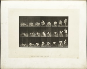 Animal locomotion. Plate 268