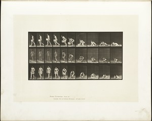Animal locomotion. Plate 269