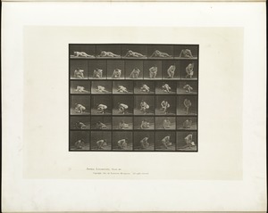 Animal locomotion. Plate 270