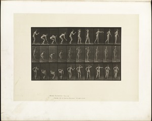 Animal locomotion. Plate 304