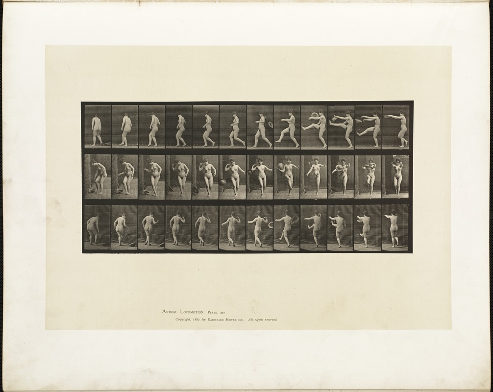 Animal locomotion. Plate 367