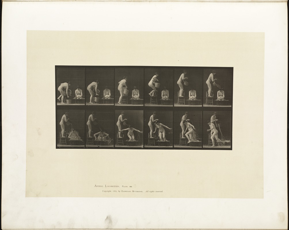 Animal locomotion. Plate 406