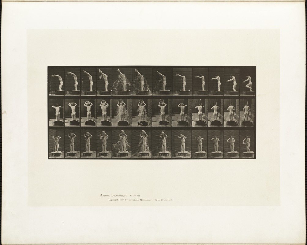 Animal locomotion. Plate 409