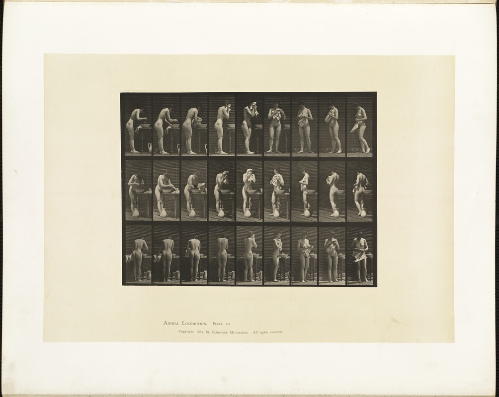 Animal locomotion. Plate 412