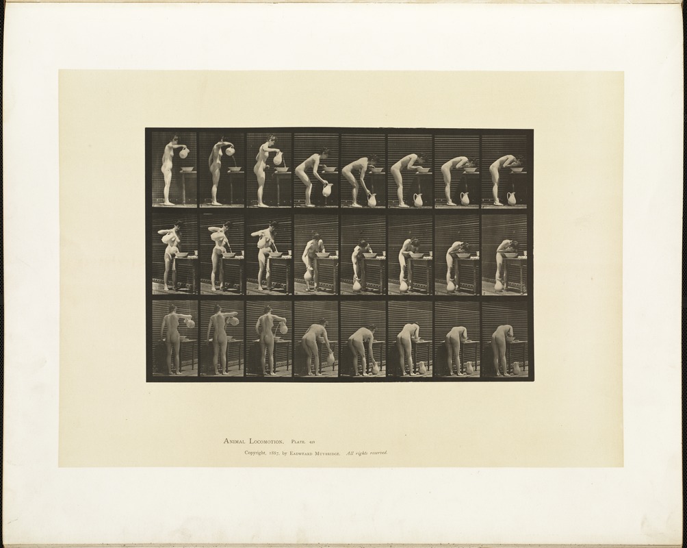 Animal locomotion. Plate 413