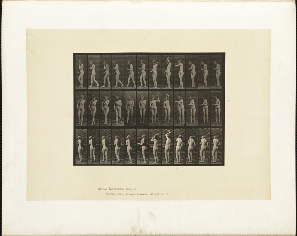 Animal locomotion. Plate 426