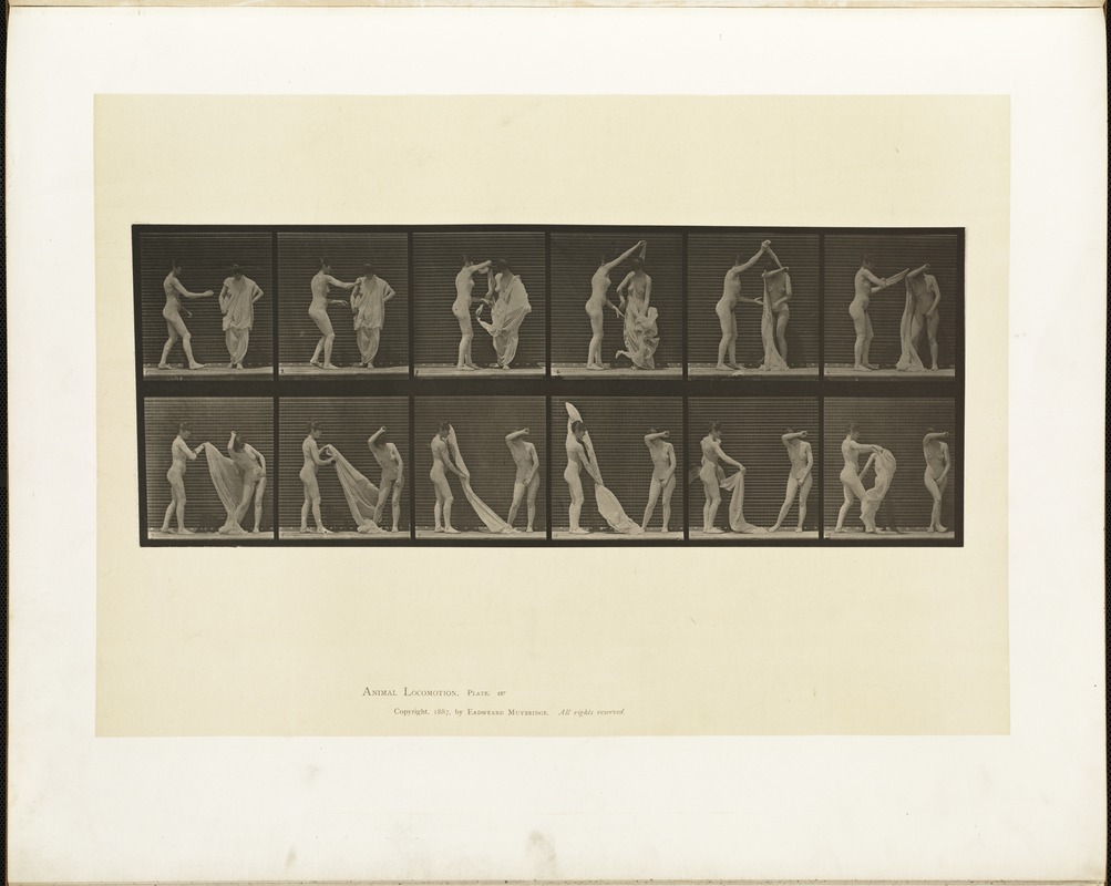 Animal locomotion. Plate 427