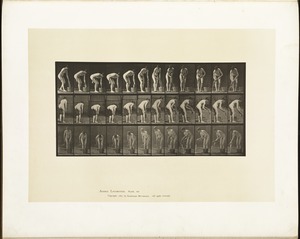 Animal locomotion. Plate 433