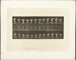 Animal locomotion. Plate 442