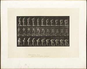 Animal locomotion. Plate 446