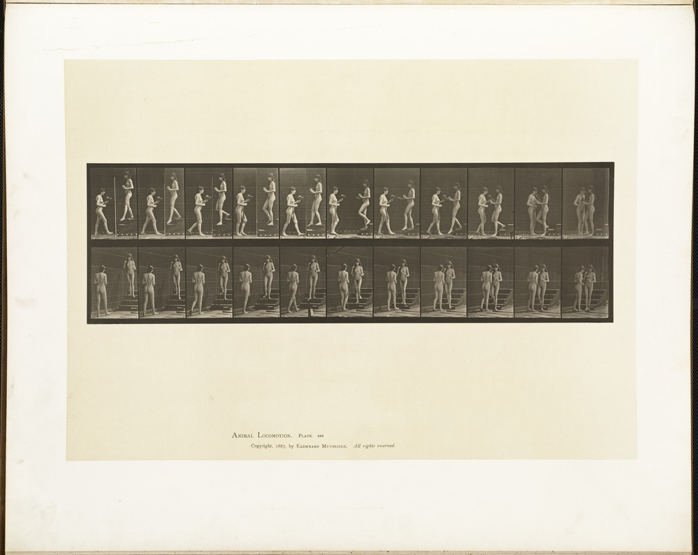 Animal locomotion. Plate 448