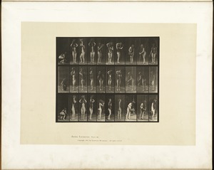 Animal locomotion. Plate 500