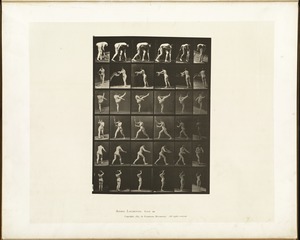 Animal locomotion. Plate 526