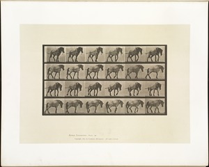 Animal locomotion. Plate 570
